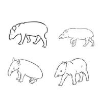 tapir vector sketch