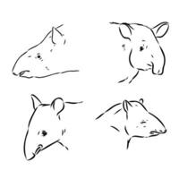 tapir vector bosquejo