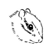 chipmunk vector sketch