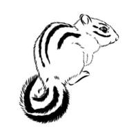 chipmunk vector sketch