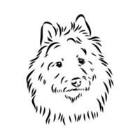 Australian terrier vector sketch