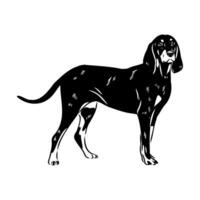 Austrian black and tan hound vector sketch