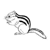 chipmunk vector sketch