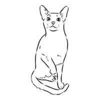 bosquejo del vector del gato