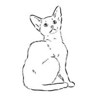 bosquejo del vector del gato