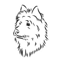 Australian terrier vector sketch