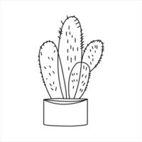 Continuous single line art drawing of cactus and minimalist outline vector art drawing