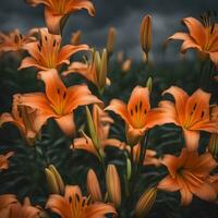 AI generated orange lilies in a field with dark clouds photo