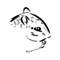 chipmunk vector sketch