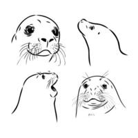 seal vector sketch