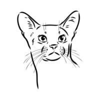 cat vector sketch