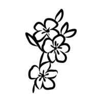 decorative flowers vector sketch