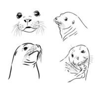 seal vector sketch