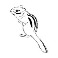 chipmunk vector sketch