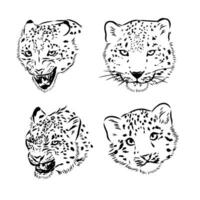 nieve leopardo vector bosquejo