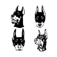 doberman dog vector sketch