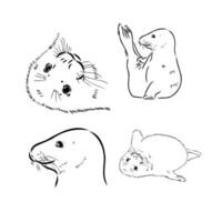 seal vector sketch