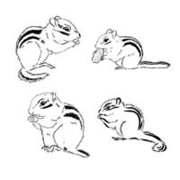 chipmunk vector sketch