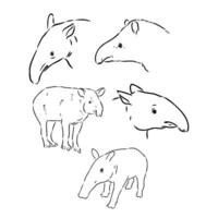 tapir vector bosquejo