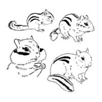 chipmunk vector sketch