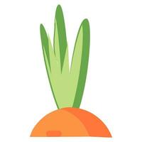 Flat Leaves Of Carrot Top Icon vector