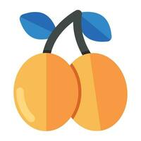 A beautiful design icon of apricot vector