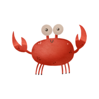 Cartoon hand drawn illustration of red crab. Underwater sea world. Hand drawn illustration on isolated background png
