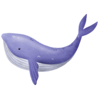 Hand gezeichnet Illustration von Meer Fisch. groß Wal Fisch. Blau Wal. Hand gezeichnet Illustration auf isoliert Hintergrund png
