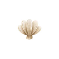 Illustration of a seashell without a pearl. Modern flat illustration of seashell isolated on background. png