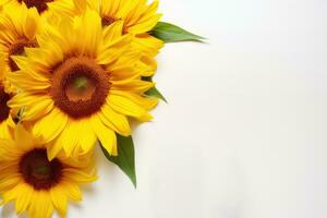 AI generated Flat lay of yellow sunflower flowers on white background isolated. Top view. AI-generated content. photo