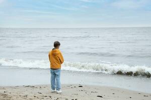 A boy in autumn jacket stands on the seashore. calm sea. cool weather. rear view photo