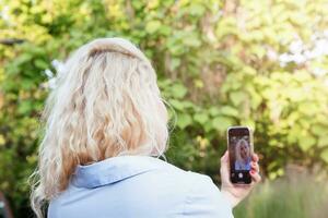 A cute young woman is sitting on a bench in the park, using her phone, taking selfies. Summer day. View from the back. photo