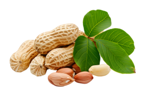 AI generated peanuts with leaves png