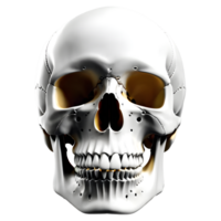 ai generato umano cranio medico illustrazione, 3d interpretazione di umano corpo png