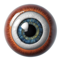 ai generado globo ocular médico ilustración, 3d representación de humano cuerpo png