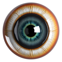 AI generated Eyeball medical illustration, 3d rendering of human body png