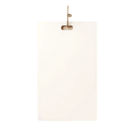 AI generated Hanging Tag with Twine on transparent Background png