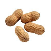 AI generated Whole and Shelled Peanuts Isolated on transparent Background png