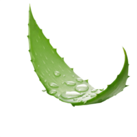 AI generated aloe vera leaf with water droplets transparent background png