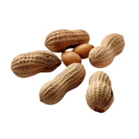 AI generated Whole and Shelled Peanuts Isolated on transparent Background png