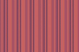 Seamless vector vertical of lines texture pattern with a background stripe fabric textile.