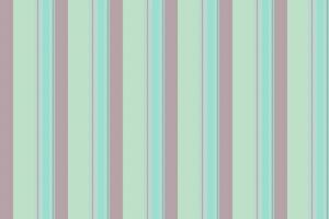 Texture fabric pattern of stripe vector lines with a background textile vertical seamless.