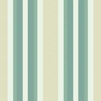 Stripe textile fabric of seamless background texture with a lines pattern vector vertical.