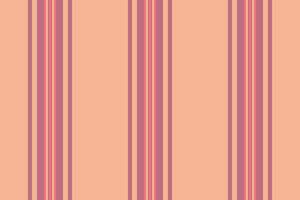 Pattern vector fabric of textile seamless lines with a background texture stripe vertical.