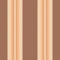 Vector fabric seamless of pattern texture stripe with a lines background textile vertical.