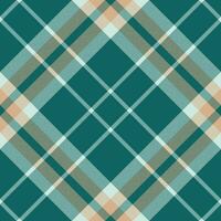 Plaid pattern vector. Check fabric texture. Seamless textile design for clothes, paper print. vector