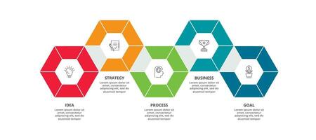 Creative concept for infographic with 5 steps, options, parts or processes. Business data visualization. vector