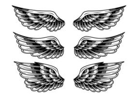 vector conjunto de Clásico ángel alas tatuajes