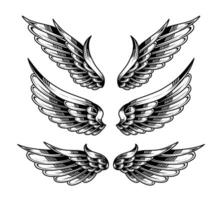 vector set of vintage angel wings tattoos