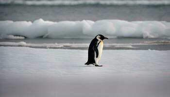 AI generated a penguin standing on the snow near some ice photo